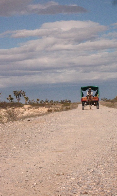 wóz pustyni w drodze